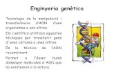 T4 enginyeria genètica