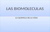 Las biomoleculas