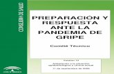 Plan Andaluz Alerta Gripe H1 N1 11 9 09
