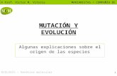 MUTACIÓN Y EVOLUCIÓN MCM JANO