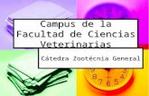 Campus de la cátedra Zootecnia Gral. de la facultad de Ciencias Veterinarias UNR