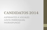 Candidatos 2014 Moraspungo