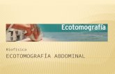 Ecotomografa abdominal
