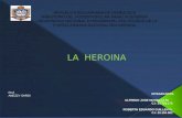 La heroina presentacion unefa Materia: seminario II .. ALFREDO MONTILLA y EDUARDO GUILLEN