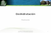 Deshidratación - Plastinación