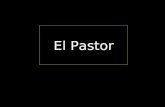 El pastor (1)