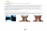 Comportamiento morfológico de la columna vertebral