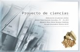Proyectodeciencias 140128215415-phpapp023