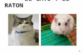 Cuento El Gato Y El Raton
