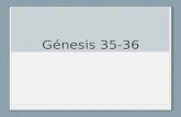 Génesis 35-36