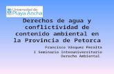 Derechos de agua y conflictividad de contenido ambiental en la Provincia de Petorca