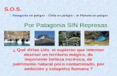 Patagonia Sin Represas2
