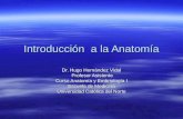 01 introducción a la anatomía