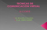 Tecnicas de comunicacion virtual [1]