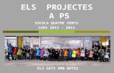 Els projectes de P5 A