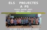 Els  projectes p5c