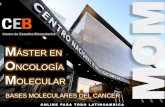 Presentación Master Onclogía Ceb Centro de Estudios Biosanitarios.