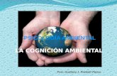 Cognicion ambiental   psic. ambiental