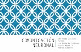 Comunicación neuronal. Sinapsis