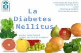 Diabetes mellitus, realizada por Sergio Farias F.