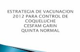 Vacunacion estrategia capullo CESFAM GARIN 2012