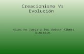 Creacionismo vs Evolución