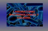 Laboratorio bacteriologico y calidad