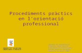 Procediments pràctics en l’orientació professional
