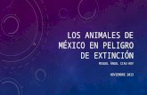 Los animales de México en peligro de extinción