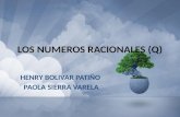 Los numeros racionales (q)