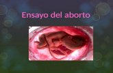 ABORTO ENSAYO