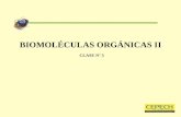 Clase 03; biomoleculas organicas ii