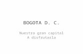 Bogota dc nuestra gran capital