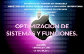 Optimizacion de Sistemas y Funciones - Presentacion
