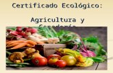 Certificado ecológico (1)