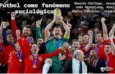 Sociología: el fútbol como fenómeno sociológico