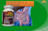Detox 4 intestino