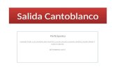 2015 02-08 crónica cantoblanco