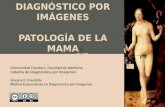 Diagnóstico por Imágenes de a Patología Mamaria