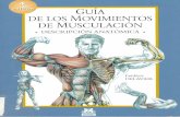 Guía de los Movimientos de Musculacion