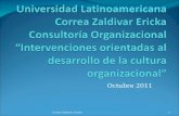 Intervenciones orientadas al desarrollo de la cultura organizacional Ericka Correa