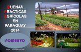 Graciela Estigarribia de López - “Buenas Prácticas Agrícolas En Paraguay” - Boas Práticas Agropecuárias e Produção Integrada - De 11 a 14 de novembro de 2014, em Foz do