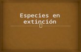 Especies en peligro de extincion