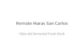 Remate Haras San Carlos