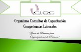 Presentación CLOCSC consultores