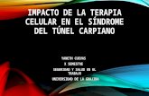 Impacto de la terapia celular en el sindrome del tunel carpiano... yaneth cuevas jaroldiazz