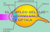 El  empleo del ojo humano enla optica erick