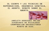 Jamileth rodriguez molina aborto exp lista