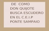 Quijote 2013