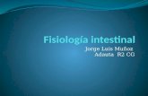 Fisiología intestinal